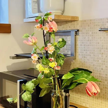 Apartamento Antico Borgo Prabiu - Casaliva - Gardaseeappartements *