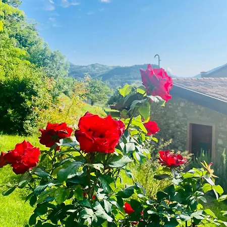 Lejlighed Antico Borgo Prabiu - Casaliva - Gardaseeappartements *
